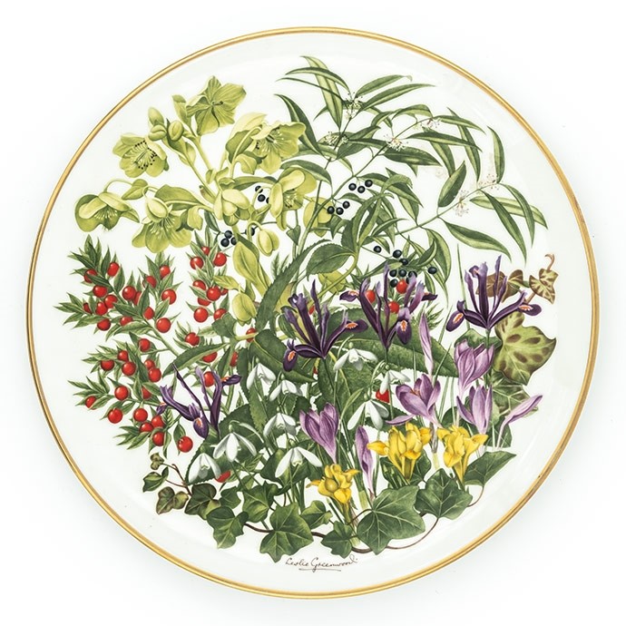ocak'ta açan çiçekler the flowers of january'in resmi