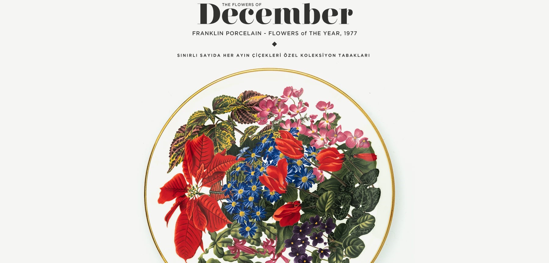 aralık'ta açan çiçekler the flowers of december'in resmi