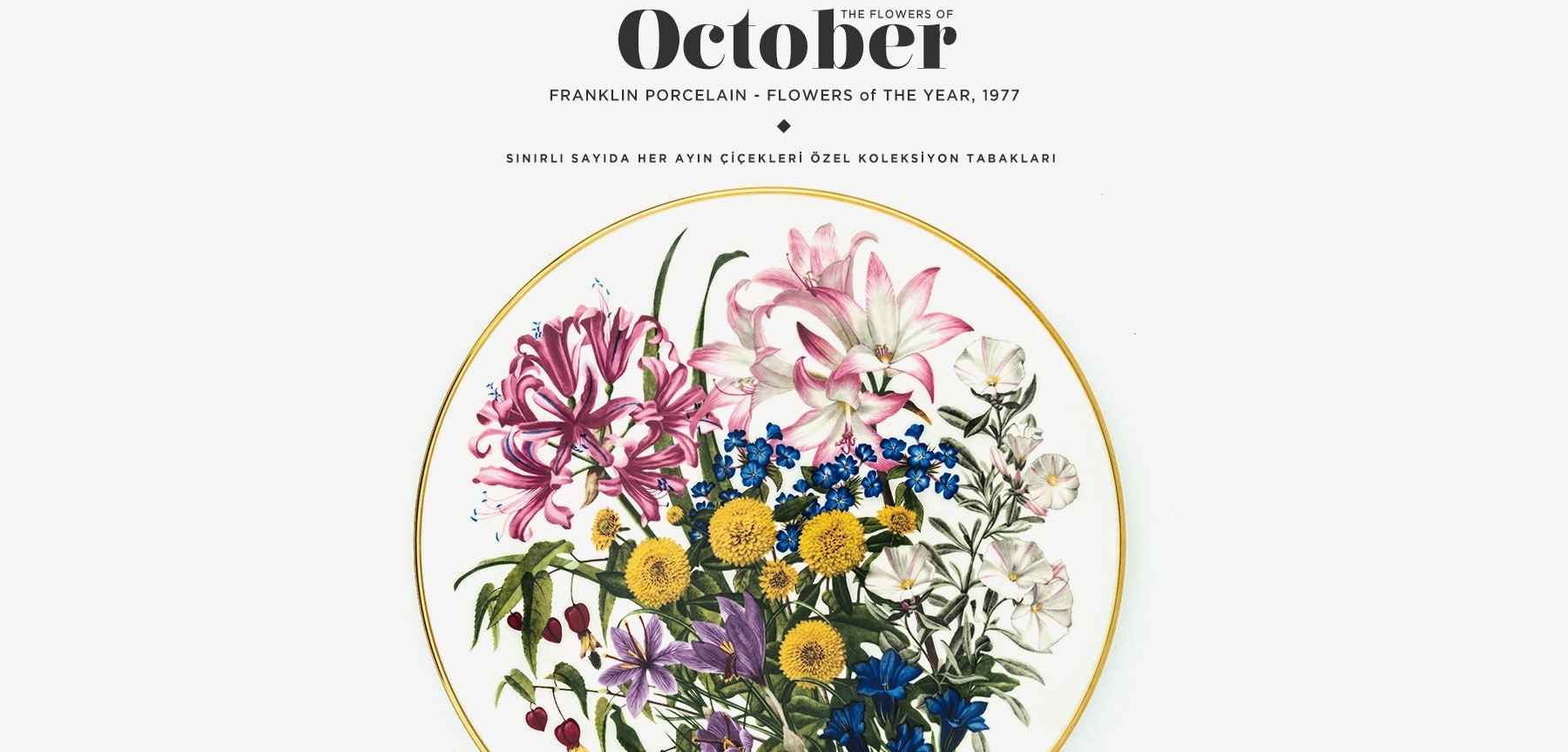 ekim'de açan çiçekler the flowers of october'in resmi