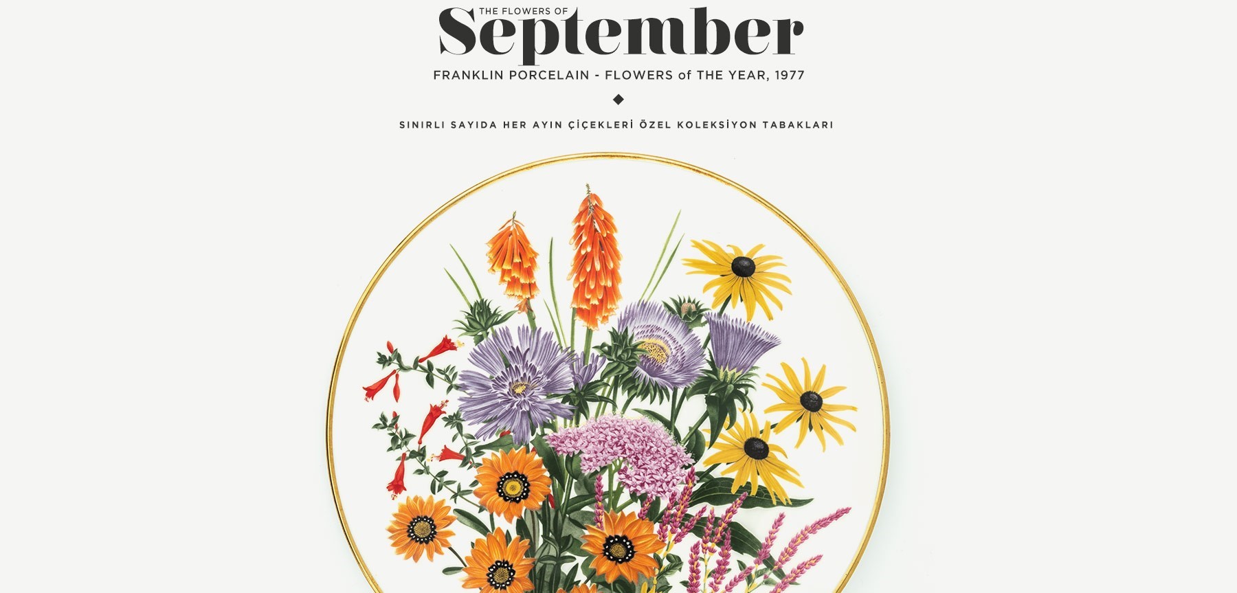 Eylül'de Açan Çiçekler The Flowers Of September'in resmi