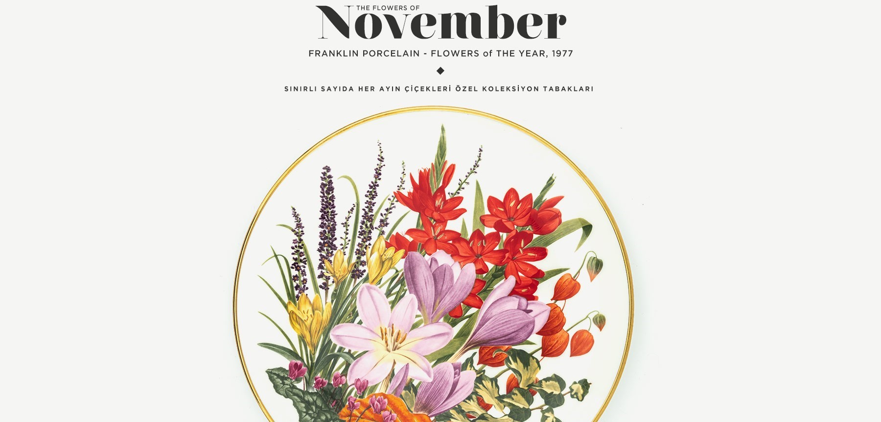 kasım'da açan çiçekler the flowers of november'in resmi