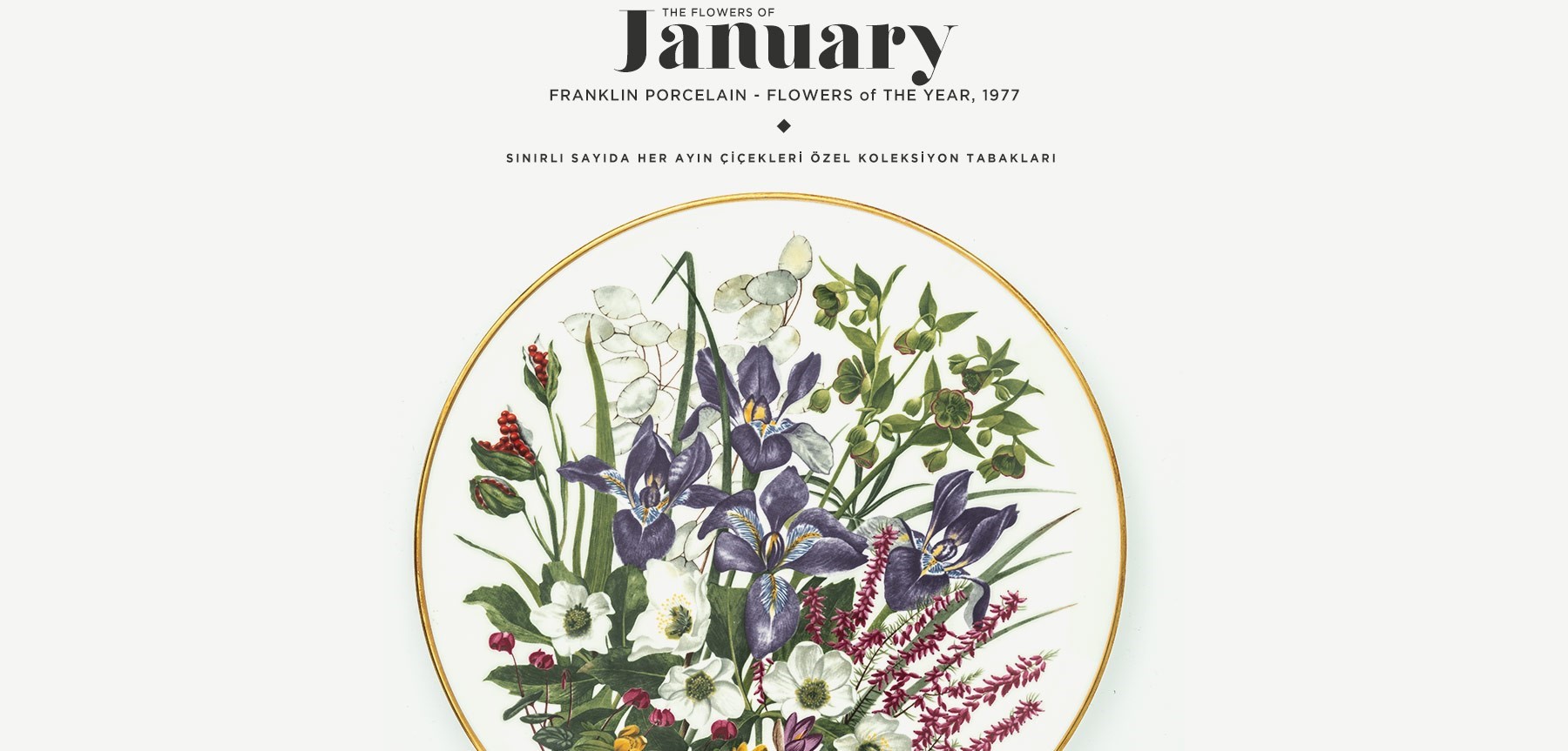 ocak'ta açan çiçekler the flowers of january'in resmi