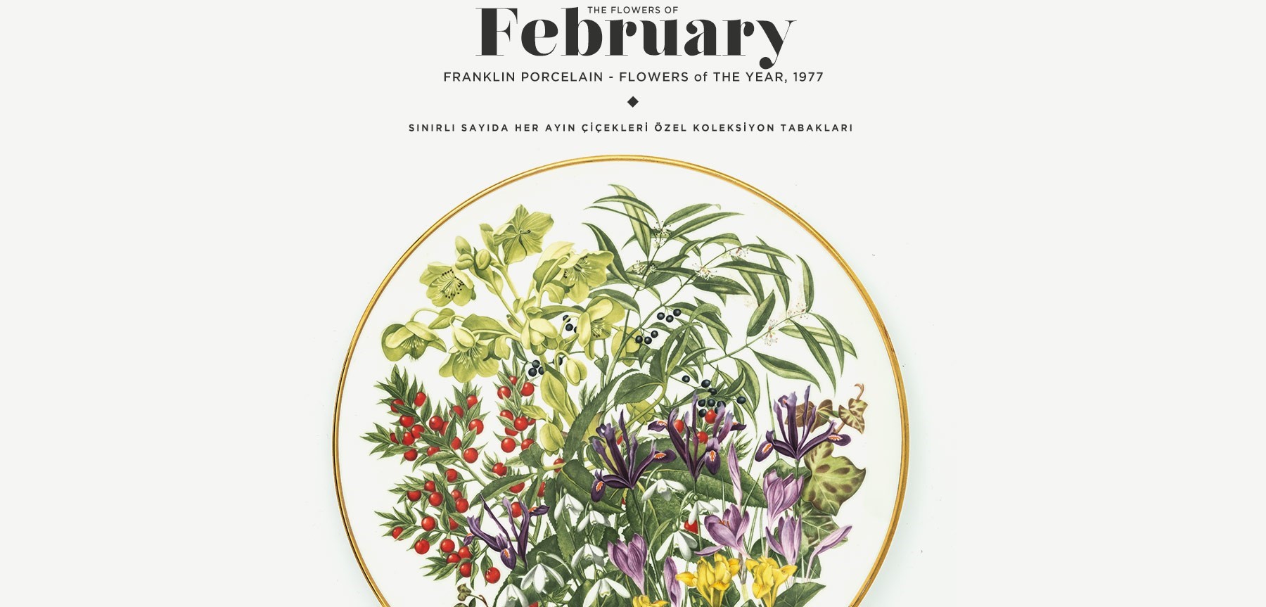 şubat'ta açan çiçekler the flowers of february'in resmi