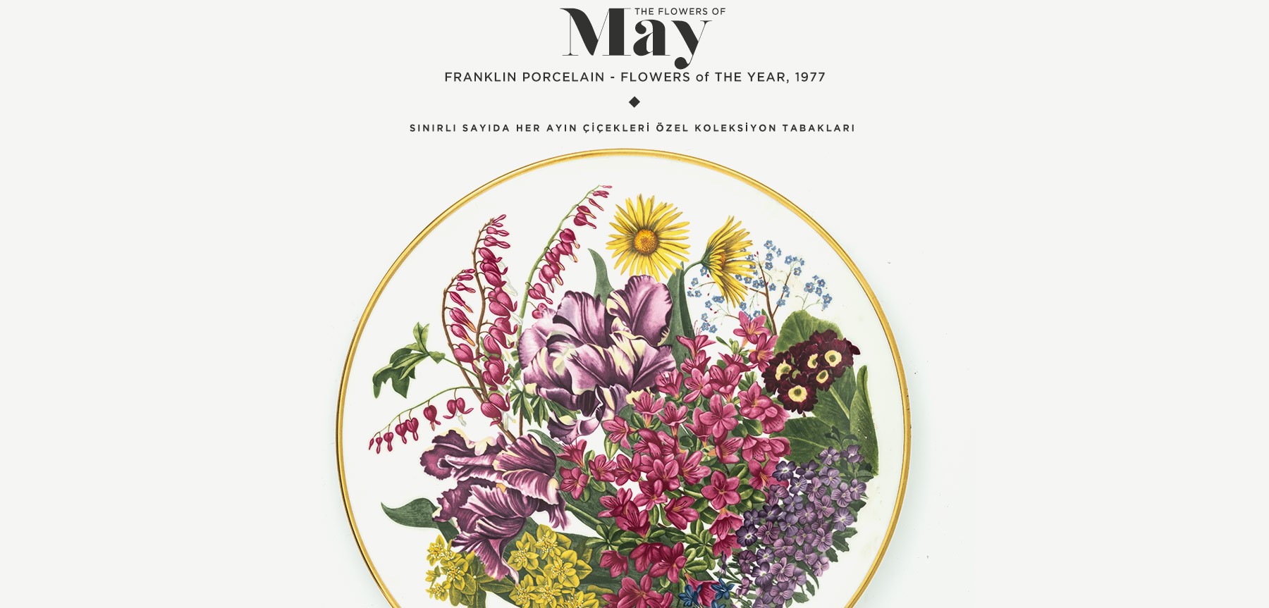 mayıs'ta açan çiçekler the flowers of may'in resmi