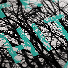 alfred hıtchcock kuşlar retro kanvas tablo resmi