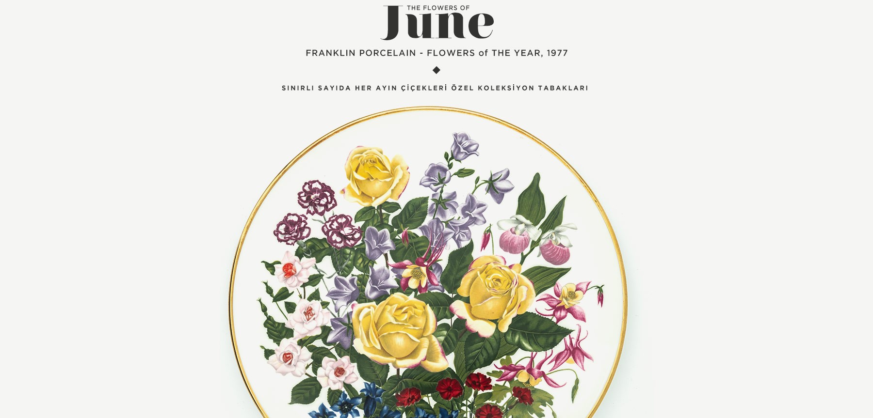 haziran'da açan çiçekler the flowers of june resmi